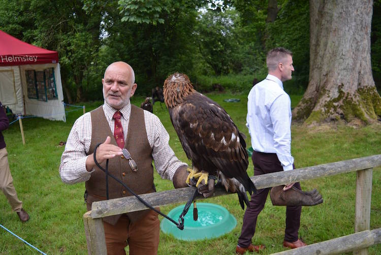 Eagle falconry at British Falconry Fair