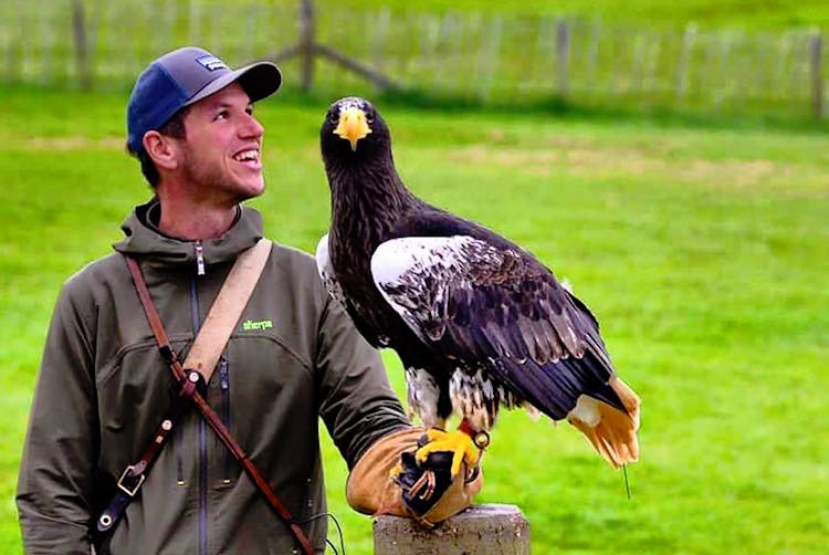 Jimmy Robinson and Steller's Sea Eagle at British Falconry Fair