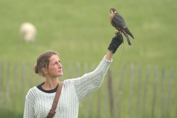 Nathalie Denolf at British Falconry Fair